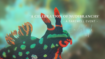 2022-New-Nudibranch-Banners-1900-×-1080-px-2.png